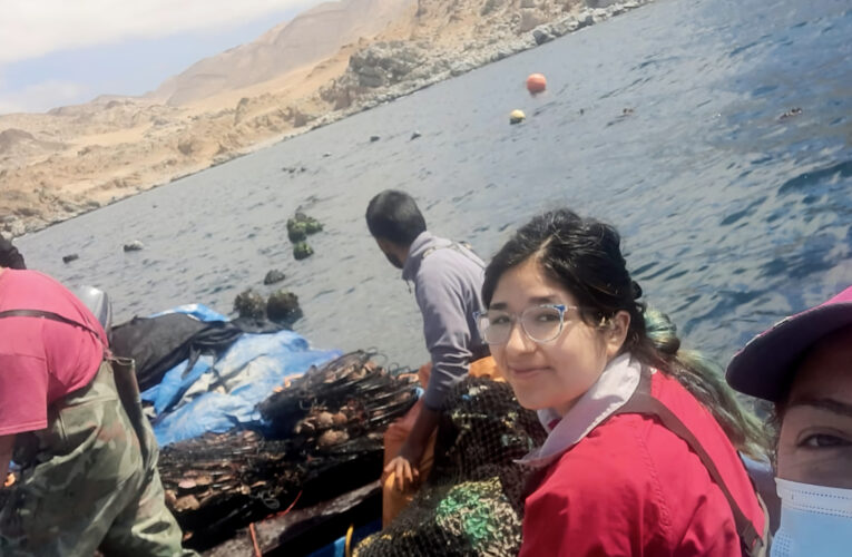 Estudiantes de Acuicultura y Pescadores de Cifuncho construirán balsa reciclando materiales de Faena Taltal
