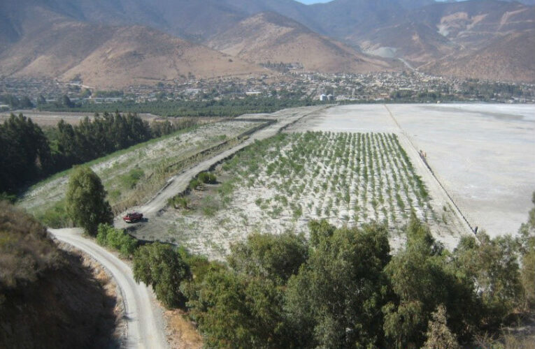 Departamento de Medioambiente Faena Cabildo