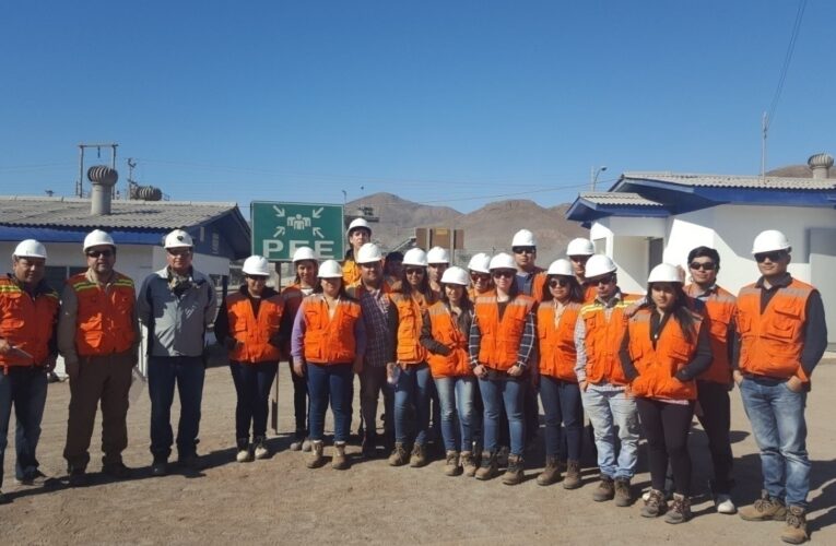 Alumnos De Universidad Santo Tomás Sede Antofagasta Visitaron Planta Las Luces