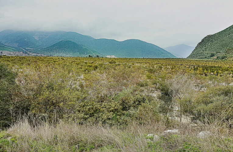 Empresas y comunidades: la relación post proyecto de inversión