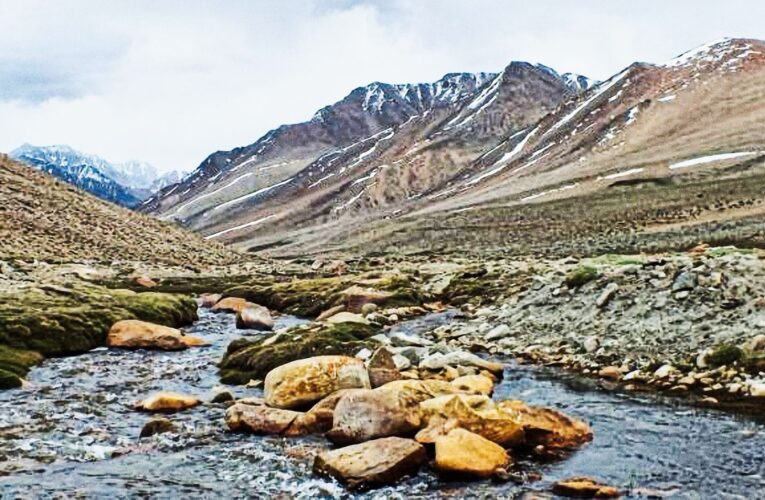 Consejo de Ministros para la Sustentabilidad aprueba nueva Estrategia Nacional de Biodiversidad para la próxima década