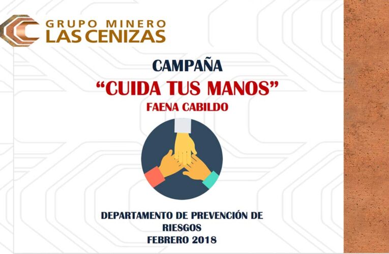 ¿Sabías que tu mano tiene 27 huesos?