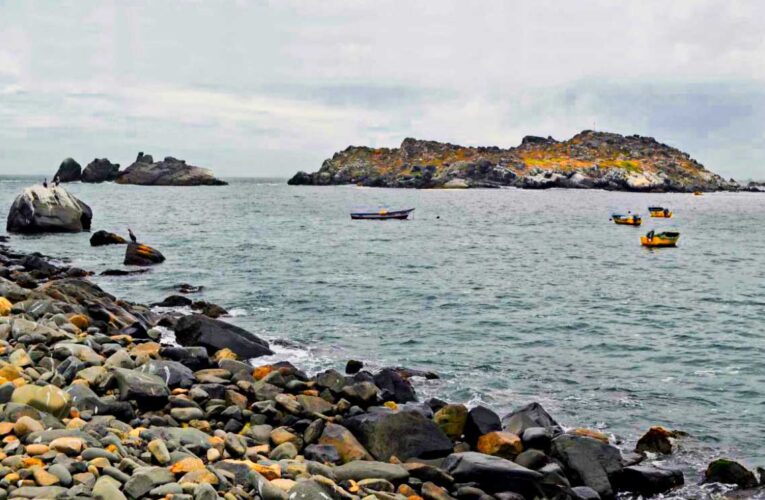 Gobierno de Piñera quita el piso al Tribunal de Antofagasta para conciliación de Minera Dominga