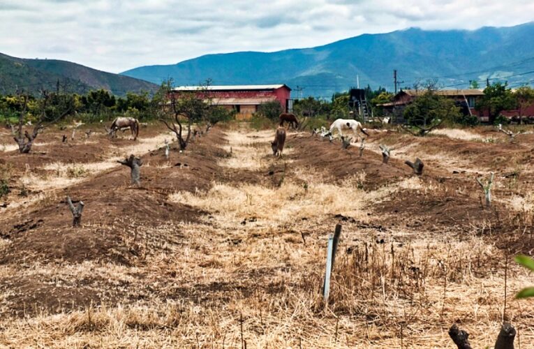Conflicto por el agua en Petorca sale al extranjero y preocupa su impacto