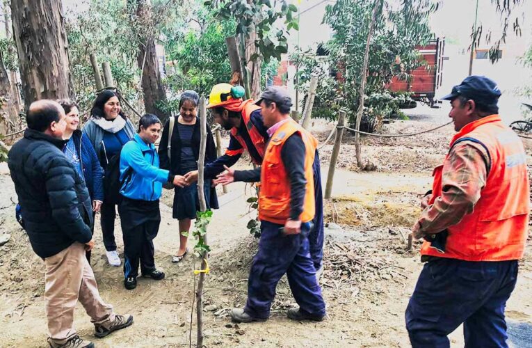 José Molina Comienza su Etapa Laboral en Cenizas Cabildo