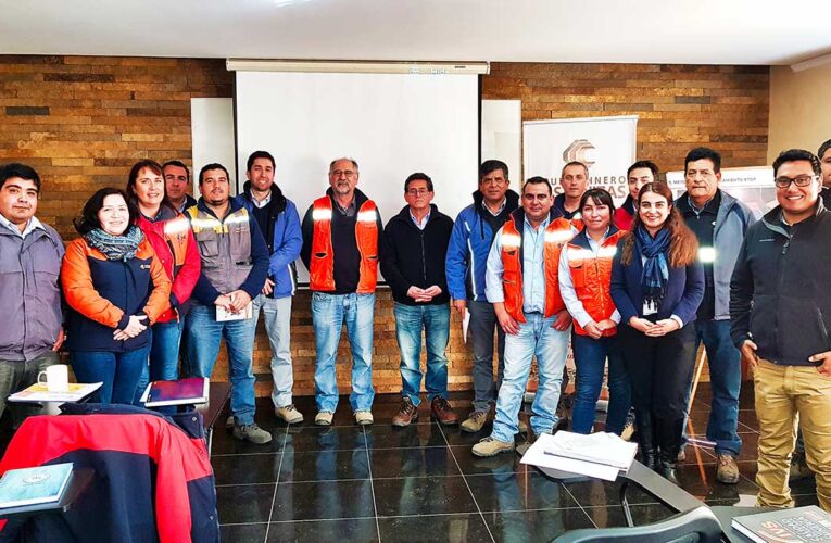 Implantación Procedimientos de Gestión Faena Cabildo