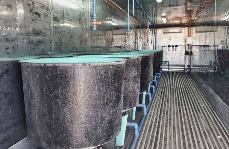 Nuevo Video Corporativo Grupo Minero Las Cenizas