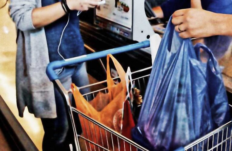 Chile marca hito medioambiental: será el primer país de América Latina que prohíbe bolsas plásticas en el comercio