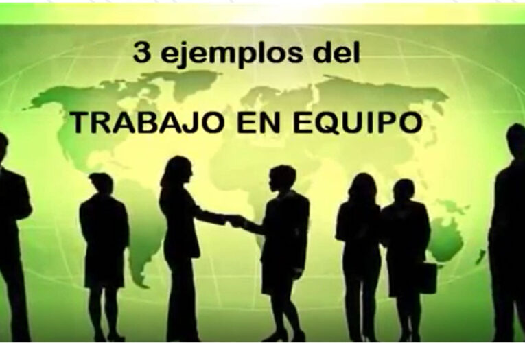 Mira los sabios consejos de la Naturaleza para trabajar en equipo y lograr el objetivo