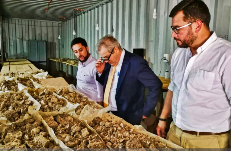 Enami quiere diversificar su cartera y recuperar otros metales