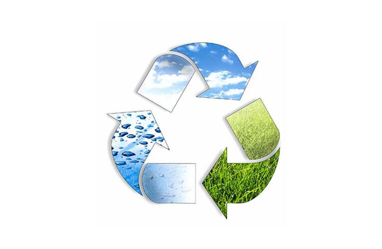 Delitos penales ambientales: aspectos a revisar