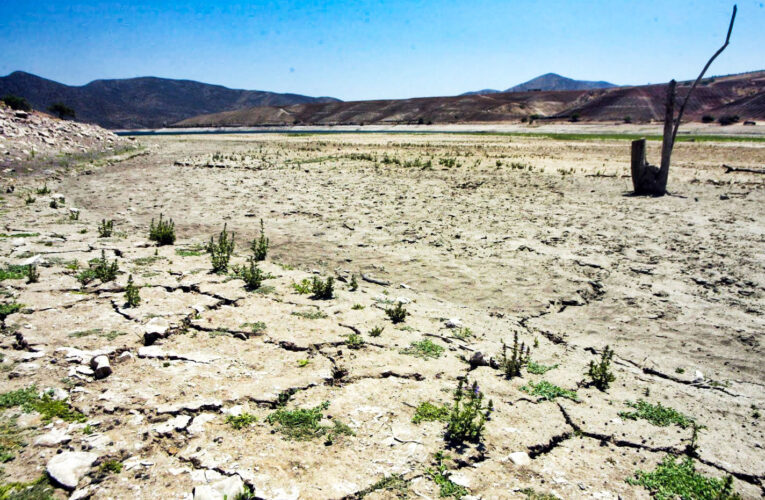 Empresarios  agrícolas  entregan  agua  para  abastecer  a  poblados  rurales  de  Petorca