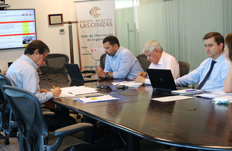 Reunión del Comité Central de Seguridad, Salud Ocupacional y Medio Ambiente (SSMA)