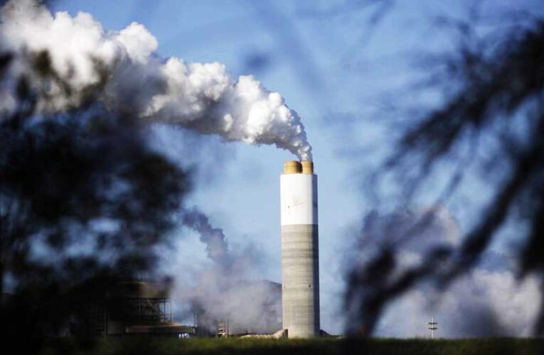 Cadena perpetua y multas de casi $ 1.000 mills. considera nuevo proyecto de delitos ambientales