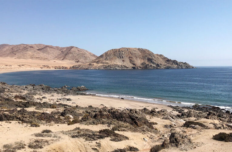 Acuymin: En pocos meses, miles de ostiones se criarán en Caleta Cifuncho