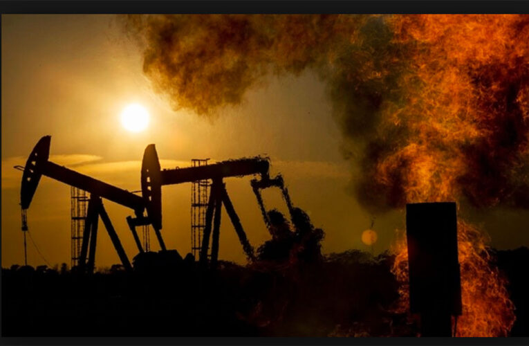 La reducción de las políticas ambientales es tendencia mundial