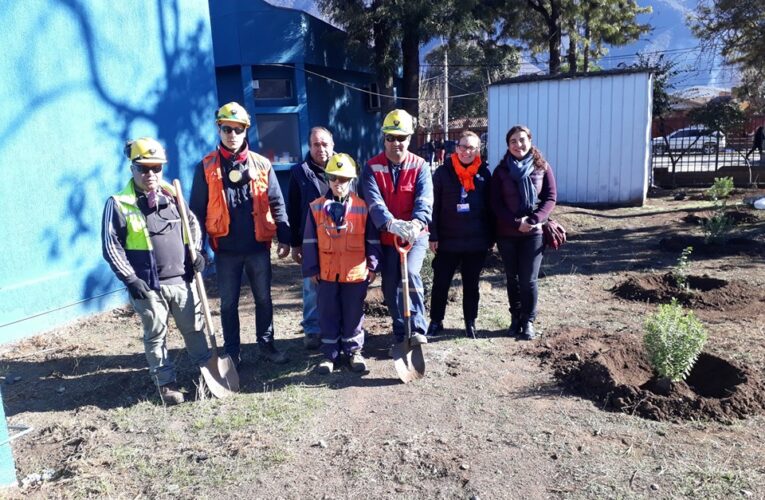 Faena Cabildo Ayuda a Mejorar Áreas Verdes del Hospital Dr. Víctor Hugo Möll