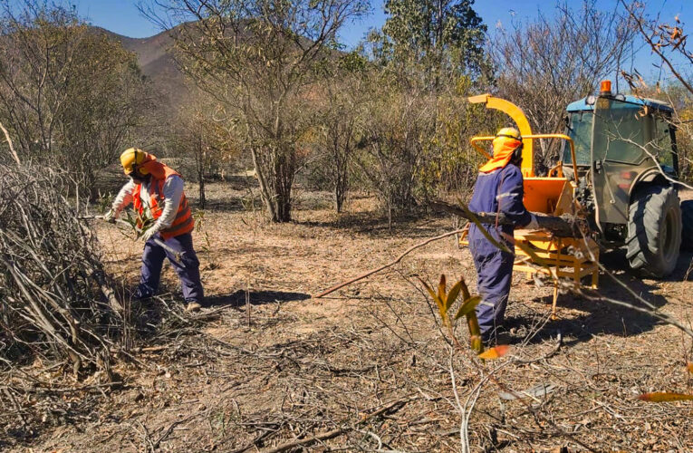 Capa vegetal de nutrientes se aplicará en suelo de bosques de tranques forestados