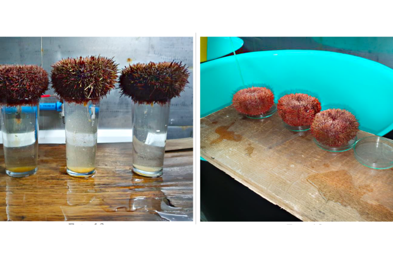 ACUYMIN realizó talleres de cultivo a comunidades pesqueras de Atacama