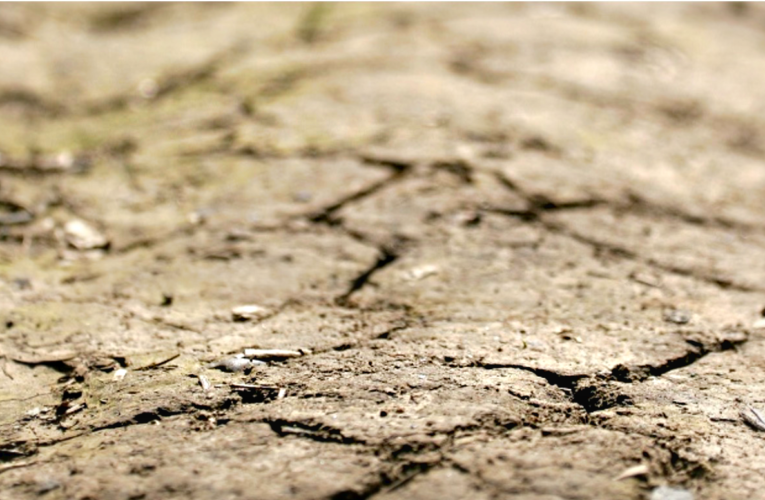 La sequía cumplió su amenaza: efectos en la minería