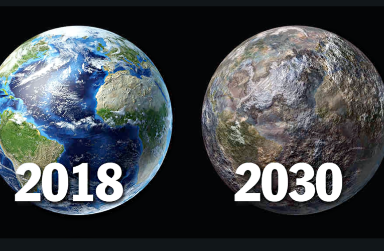 Homenaje al Trabajador Cenizas en el Día del Minero