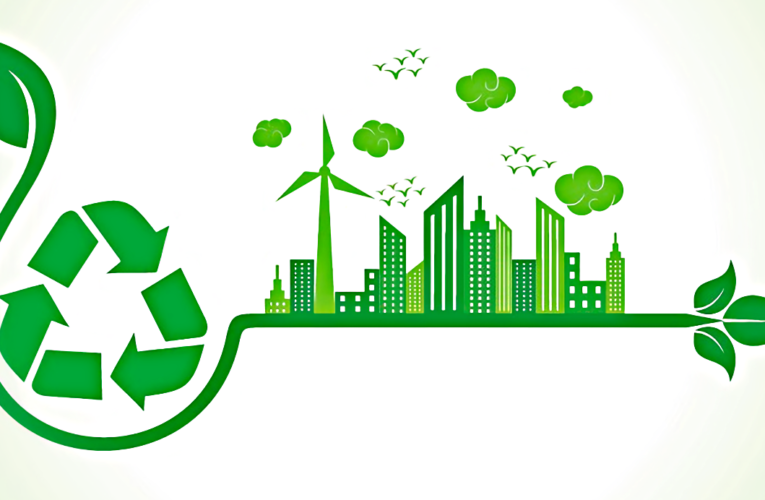 Qué es Sustentabilidad: