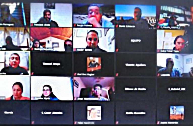 Primera Reunión Virtual de Salud, Seguridad y Medio Ambiente en Cabildo