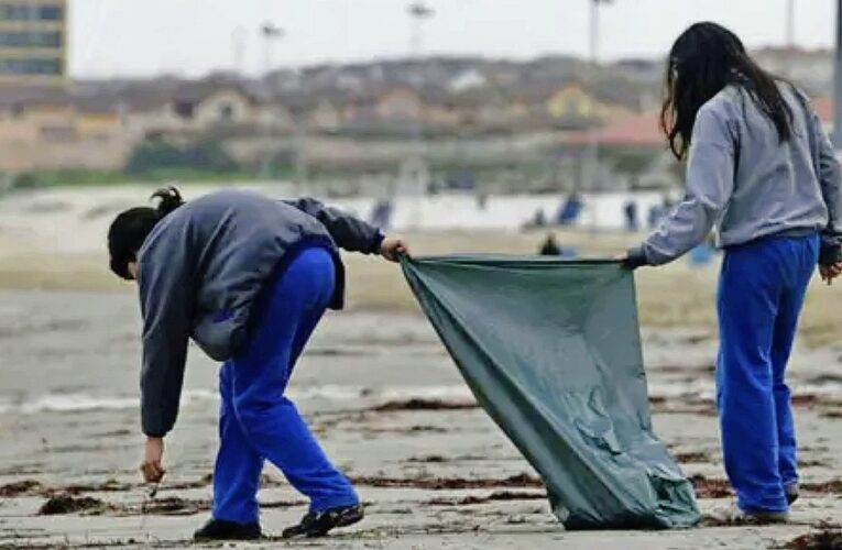 «Educar en temas relativos al cambio climático es un imperativo ético hoy»
