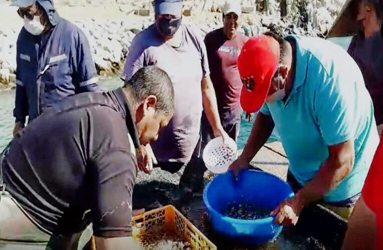 Acuymin operará Primer Centro de Capacitación para pescadores y buzos de la zona norte