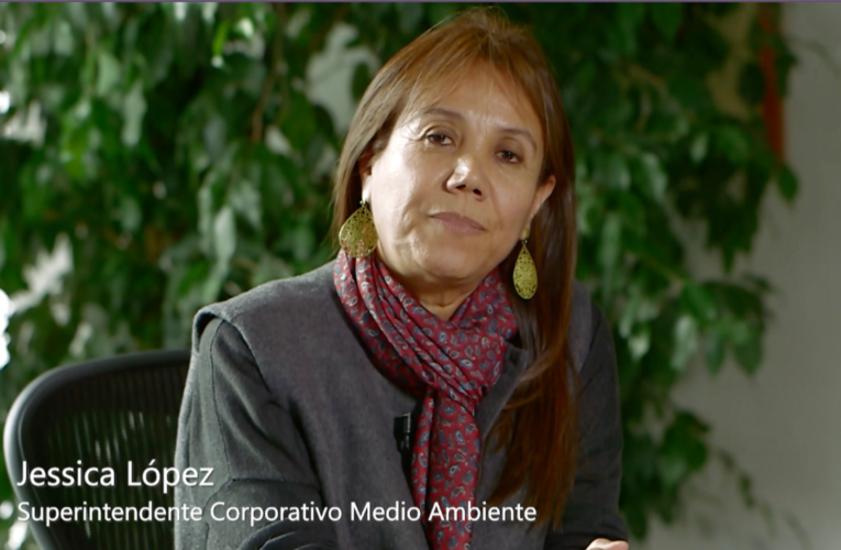 Superintendente Corporativo de Medioambiente invitada a integrar Comisión Técnica del Ministerio de Minería