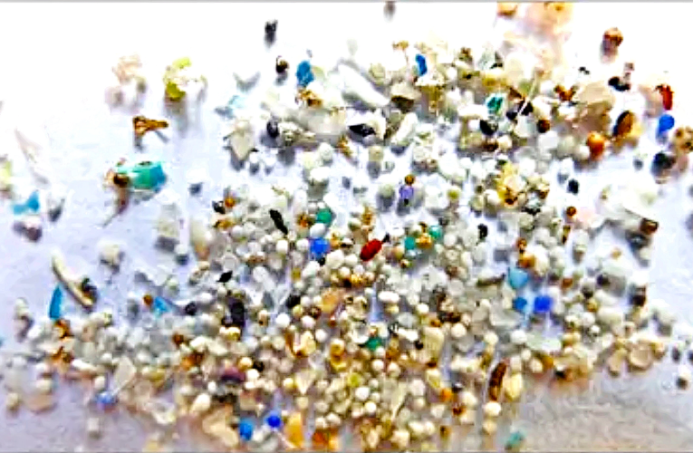 El plástico ya está presente en los tejidos humanos