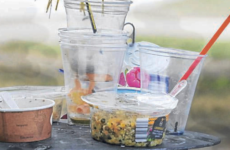 Prohibir los plásticos de un solo uso: el siguiente paso para reducir la contaminación