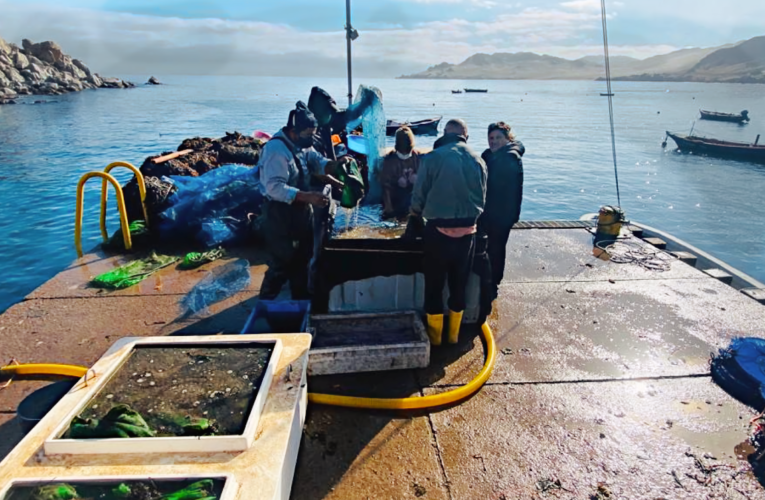 Experiencia AcuyMin da origen al proyecto  AcuyMinAgro que beneficiará a nuevas comunidades de Antofagasta y Tarapacá