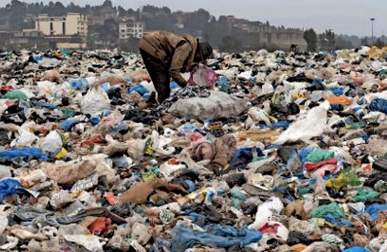 El futuro verde del planeta sí tendrá plásticos, pero unos que casi no contaminen