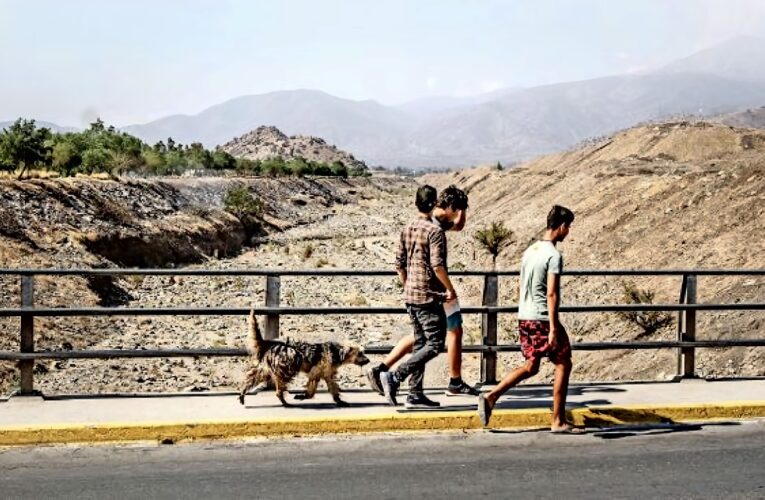 Expertos piden asegurar las condiciones ambientales en que vivirán las futuras generaciones