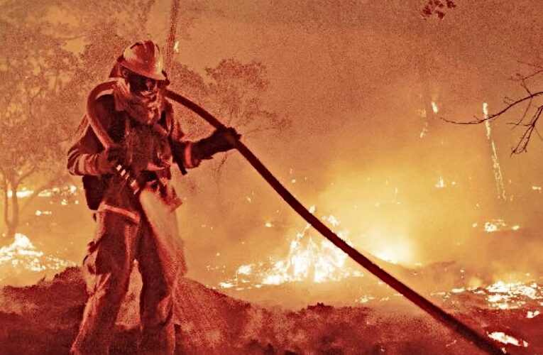 Nueva invitación a Participar en Programa de Monitores Líderes STOP e Instructores Internos