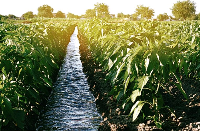 Crean «certificado azul» para promover la gestión hídrica en empresas