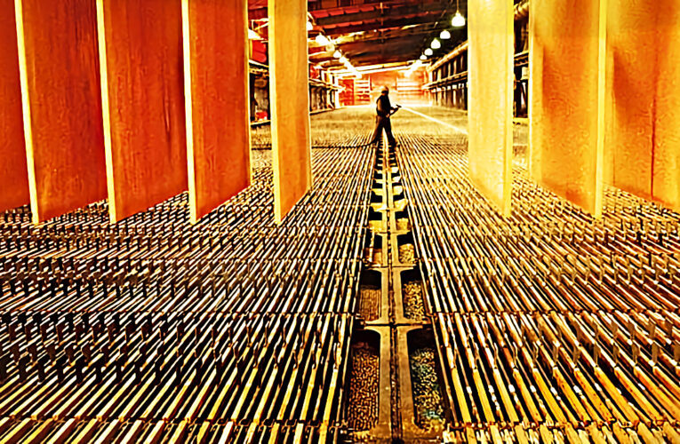 Wladimir Cifuentes es Reconocido por su Valioso aporte al Programa de Acercamientos STOP – Cabildo.