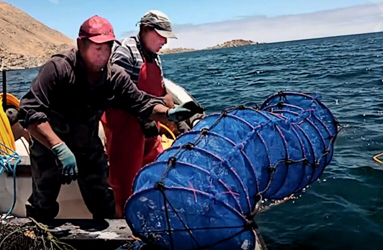 Por su beneficio social y ambiental, alianza pionera ACUYMIN convoca alto interés entre autoridades nacionales   