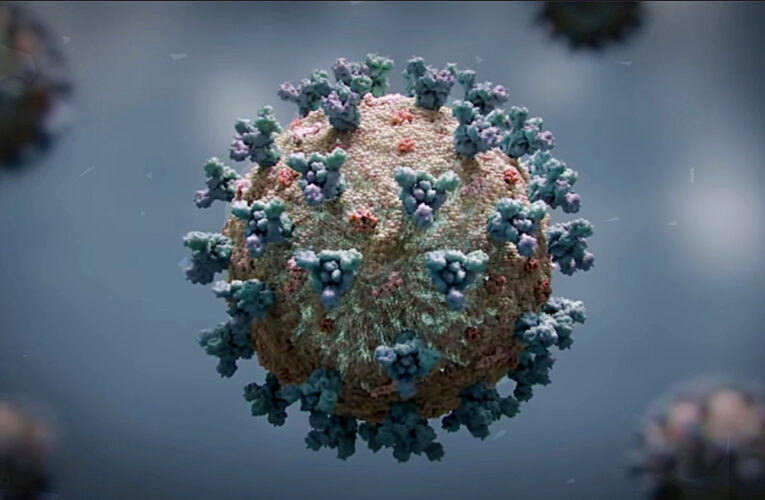 Informaciones COVID de la semana