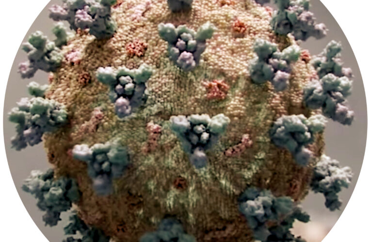 Informaciones sobre casos COVID en la semana