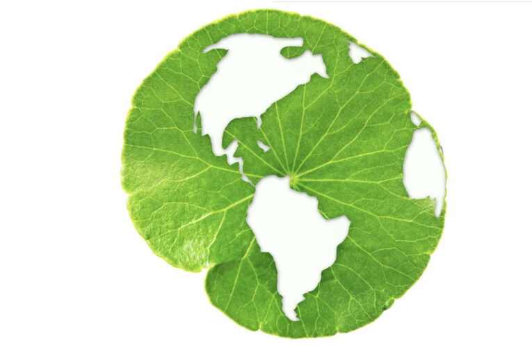 La economía circular se erige como una gran oportunidad para la reactivación pospandemia