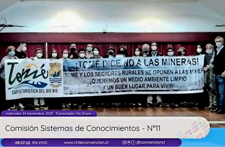 Las dudas que genera la idea de establecer derechos de la naturaleza en la Constitución