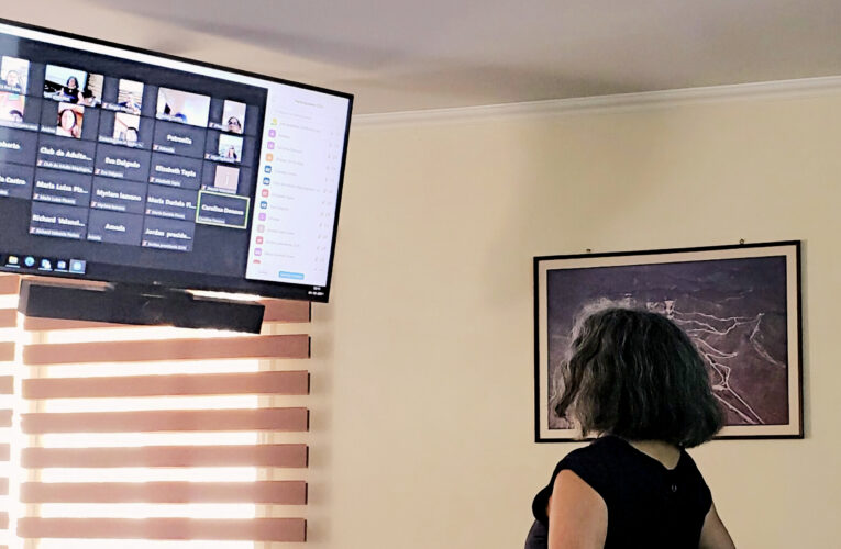 Faena Cabildo Realizó Capacitación Online para Organizaciones Interesadas en Postular al Fondo Concursable