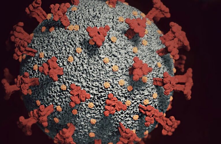 Se dijo de Ómicron esta semana