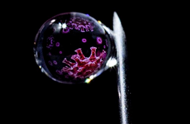 Se dijo de la Vacunación