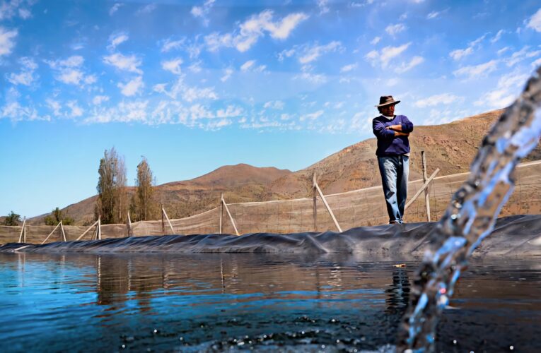 Convención aprueba norma que caduca todos los derechos de aprovechamiento de agua