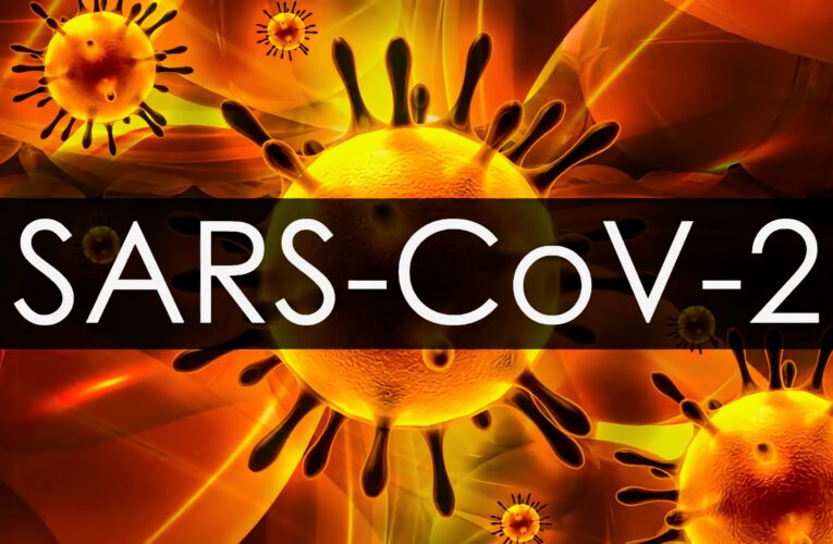 Se dijo del Covid esta semana