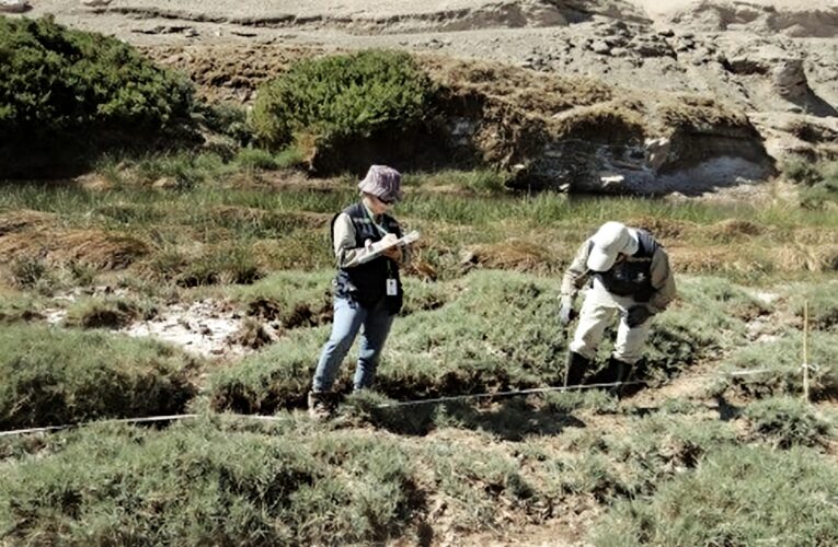 Se dijo del Medioambiente
