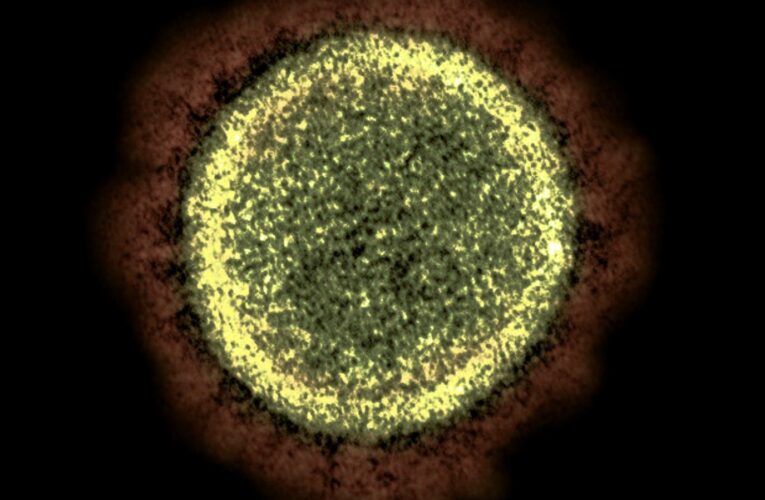 Se dijo del Covid esta semana